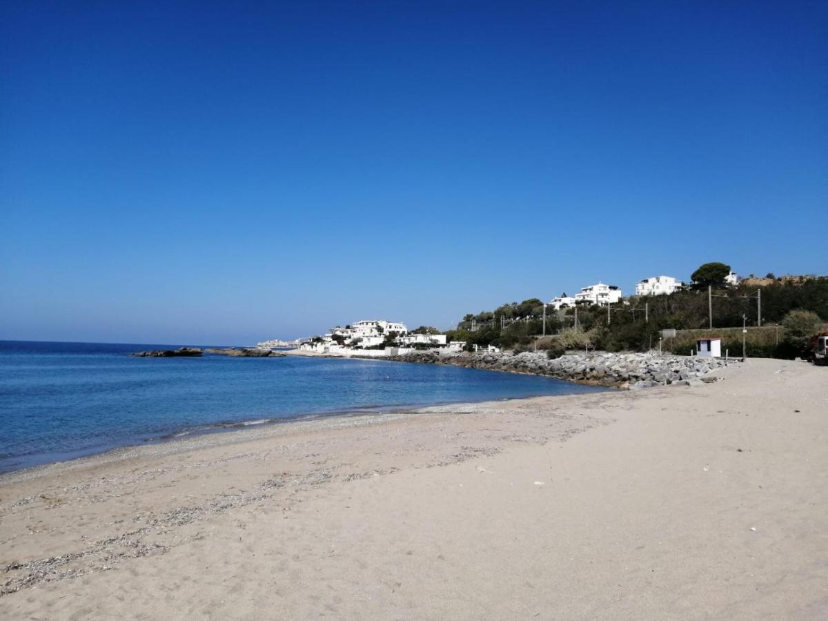 Villa a Diamante Sulla Spiaggia Belvedere Marittimo Esterno foto